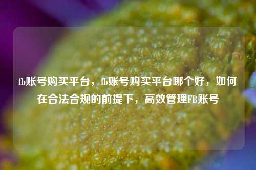 fb账号购买平台，fb账号购买平台哪个好，如何在合法合规的前提下，高效管理FB账号