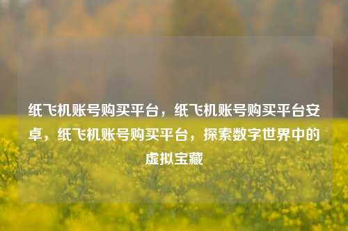 纸飞机账号购买平台，纸飞机账号购买平台安卓，纸飞机账号购买平台，探索数字世界中的虚拟宝藏