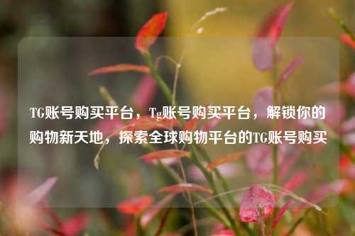 TG账号购买平台，Tg账号购买平台，解锁你的购物新天地	，探索全球购物平台的TG账号购买  第1张