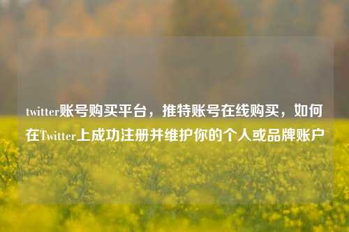twitter账号购买平台，推特账号在线购买，如何在Twitter上成功注册并维护你的个人或品牌账户