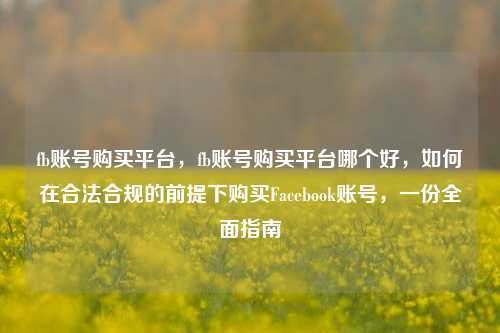 fb账号购买平台，fb账号购买平台哪个好，如何在合法合规的前提下购买Facebook账号，一份全面指南
