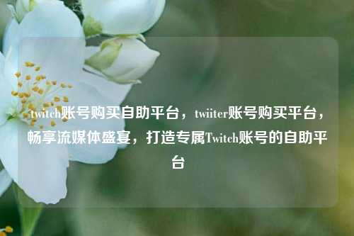 twitch账号购买自助平台，twiiter账号购买平台，畅享流媒体盛宴，打造专属Twitch账号的自助平台