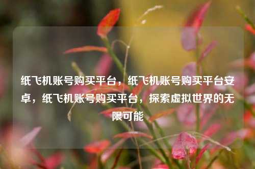 纸飞机账号购买平台，纸飞机账号购买平台安卓，纸飞机账号购买平台，探索虚拟世界的无限可能
