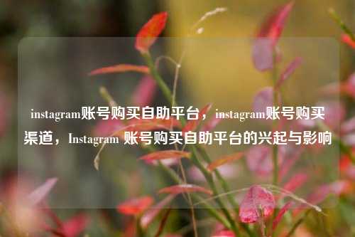 instagram账号购买自助平台，instagram账号购买渠道，Instagram 账号购买自助平台的兴起与影响