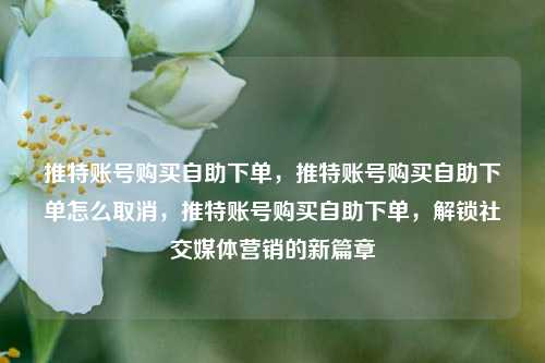 推特账号购买自助下单，推特账号购买自助下单怎么取消，推特账号购买自助下单，解锁社交媒体营销的新篇章
