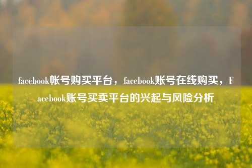 facebook帐号购买平台，facebook账号在线购买，Facebook账号买卖平台的兴起与风险分析