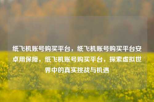 纸飞机账号购买平台，纸飞机账号购买平台安卓用保障，纸飞机账号购买平台，探索虚拟世界中的真实挑战与机遇