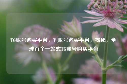 TG账号购买平台，Tg账号购买平台，揭秘，全球首个一站式TG账号购买平台