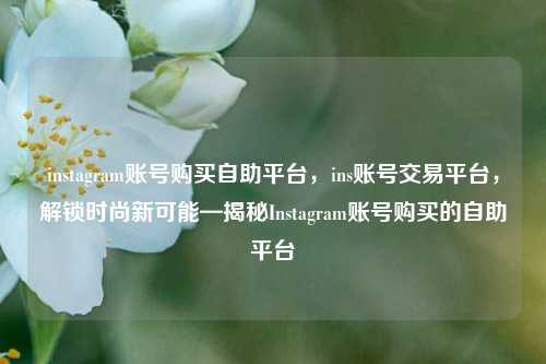 instagram账号购买自助平台，ins账号交易平台，解锁时尚新可能—揭秘Instagram账号购买的自助平台