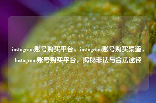 instagram账号购买平台，instagram账号购买渠道，Instagram账号购买平台，揭秘非法与合法途径