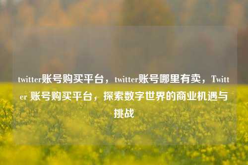 twitter账号购买平台，twitter账号哪里有卖，Twitter 账号购买平台，探索数字世界的商业机遇与挑战