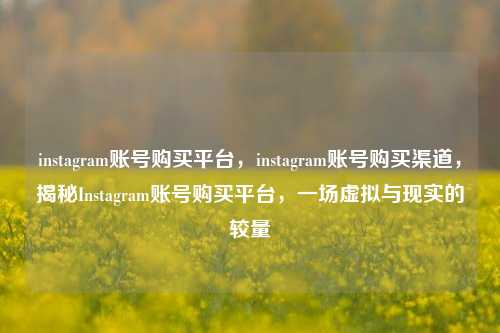instagram账号购买平台，instagram账号购买渠道，揭秘Instagram账号购买平台，一场虚拟与现实的较量