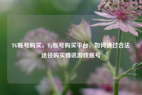 TG账号购买，Tg账号购买平台，如何通过合法途径购买腾讯游戏账号