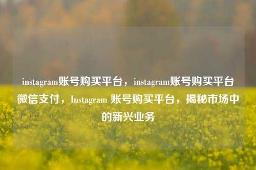 instagram账号购买平台，instagram账号购买平台微信支付，Instagram 账号购买平台，揭秘市场中的新兴业务