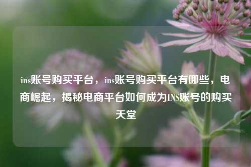ins账号购买平台，ins账号购买平台有哪些，电商崛起，揭秘电商平台如何成为INS账号的购买天堂