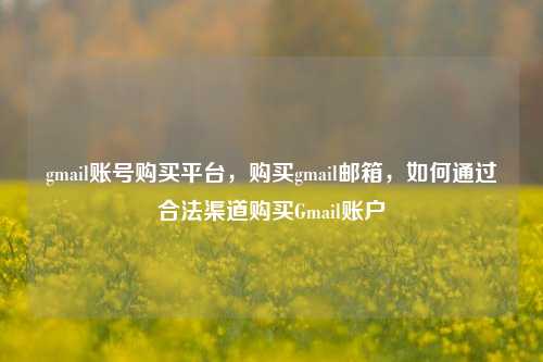 gmail账号购买平台，购买gmail邮箱，如何通过合法渠道购买Gmail账户