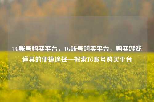 TG账号购买平台，TG账号购买平台，购买游戏道具的便捷途径—探索TG账号购买平台
