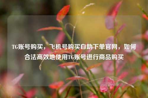 TG账号购买，飞机号购买自助下单官网，如何合法高效地使用TG账号进行商品购买