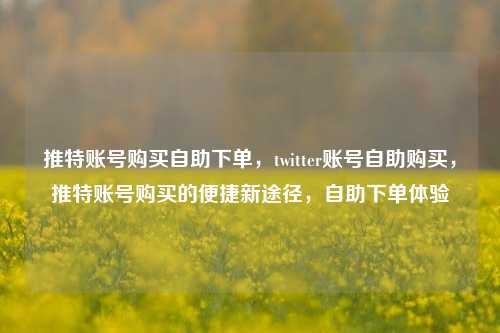 推特账号购买自助下单	，twitter账号自助购买，推特账号购买的便捷新途径，自助下单体验  第1张