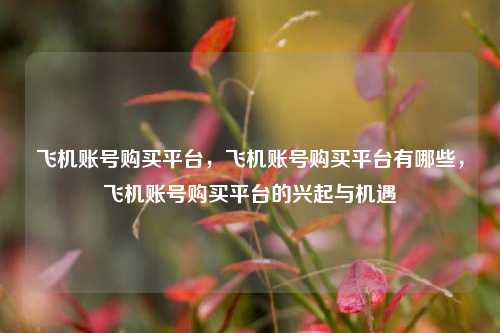 飞机账号购买平台，飞机账号购买平台有哪些，飞机账号购买平台的兴起与机遇  第1张