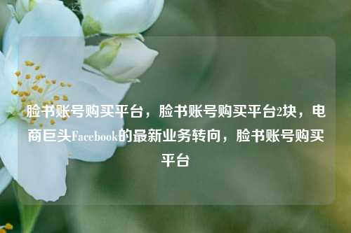 脸书账号购买平台，脸书账号购买平台2块，电商巨头Facebook的最新业务转向，脸书账号购买平台