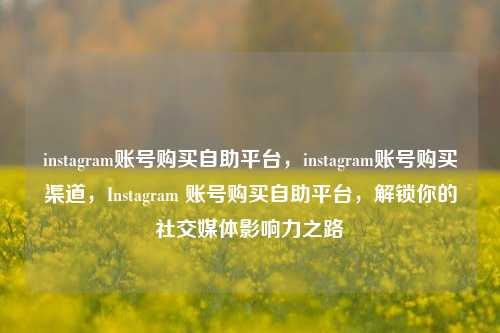 instagram账号购买自助平台，instagram账号购买渠道，Instagram 账号购买自助平台，解锁你的社交媒体影响力之路