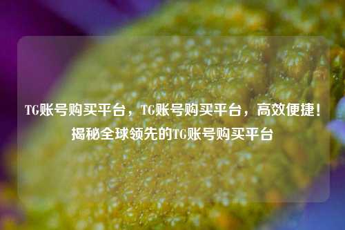 TG账号购买平台，TG账号购买平台	，高效便捷！揭秘全球领先的TG账号购买平台  第1张