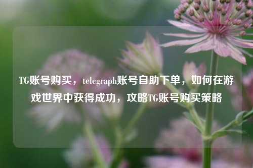 TG账号购买	，telegraph账号自助下单，如何在游戏世界中获得成功，攻略TG账号购买策略  第1张