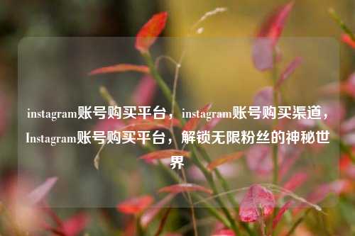instagram账号购买平台，instagram账号购买渠道，Instagram账号购买平台，解锁无限粉丝的神秘世界