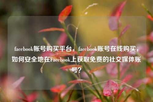 facebook帐号购买平台，facebook账号在线购买，如何安全地在Facebook上获取免费的社交媒体账号？