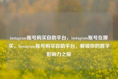 instagram账号购买自助平台，instagram账号在哪买，Instagram账号购买自助平台，解锁你的数字影响力之旅