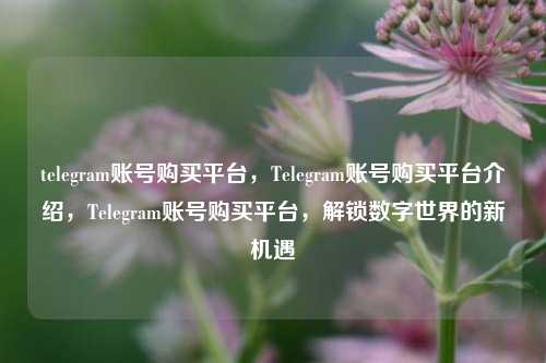 telegram账号购买平台，Telegram账号购买平台介绍，Telegram账号购买平台，解锁数字世界的新机遇