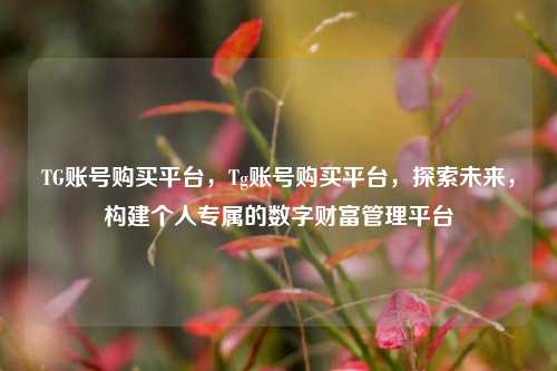 TG账号购买平台，Tg账号购买平台，探索未来，构建个人专属的数字财富管理平台