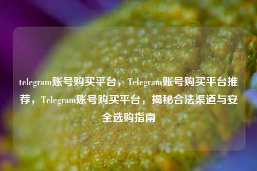 telegram账号购买平台，Telegram账号购买平台推荐	，Telegram账号购买平台，揭秘合法渠道与安全选购指南  第1张