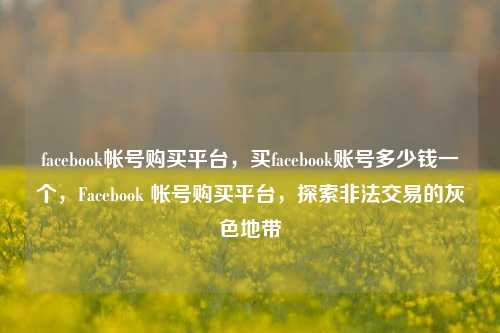 facebook帐号购买平台	，买facebook账号多少钱一个，Facebook 帐号购买平台，探索非法交易的灰色地带  第1张