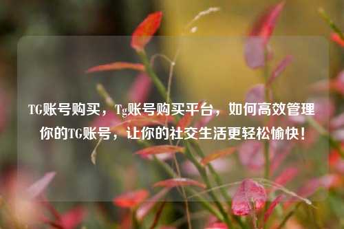 TG账号购买，Tg账号购买平台，如何高效管理你的TG账号，让你的社交生活更轻松愉快！