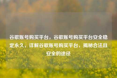谷歌账号购买平台，谷歌账号购买平台安全稳定永久，详解谷歌账号购买平台，揭秘合法且安全的途径