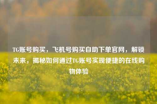 TG账号购买，飞机号购买自助下单官网，解锁未来，揭秘如何通过TG账号实现便捷的在线购物体验