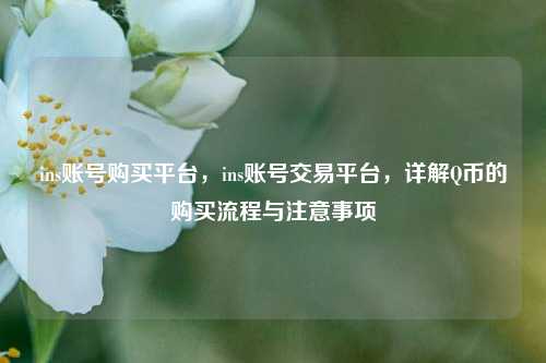 ins账号购买平台，ins账号交易平台，详解Q币的购买流程与注意事项