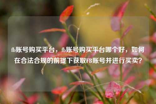 fb账号购买平台，fb账号购买平台哪个好，如何在合法合规的前提下获取FB账号并进行买卖？