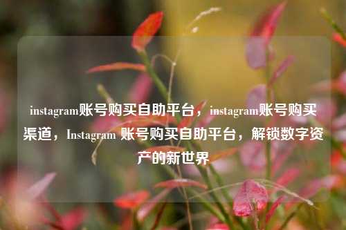 instagram账号购买自助平台，instagram账号购买渠道，Instagram 账号购买自助平台，解锁数字资产的新世界