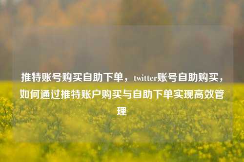 推特账号购买自助下单，twitter账号自助购买，如何通过推特账户购买与自助下单实现高效管理