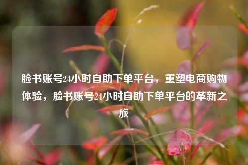 脸书账号24小时自助下单平台，重塑电商购物体验，脸书账号24小时自助下单平台的革新之旅