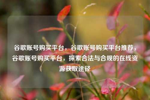 谷歌账号购买平台，谷歌账号购买平台推荐，谷歌账号购买平台，探索合法与合规的在线资源获取途径