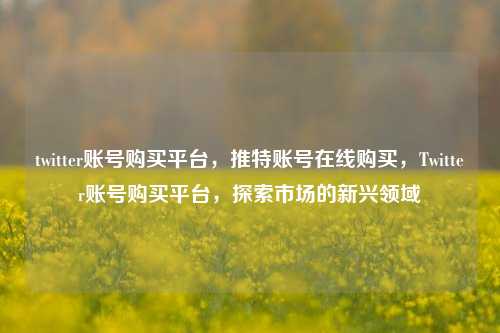 twitter账号购买平台，推特账号在线购买，Twitter账号购买平台，探索市场的新兴领域