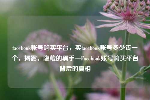 facebook帐号购买平台，买facebook账号多少钱一个，揭露，隐藏的黑手—Facebook账号购买平台背后的真相