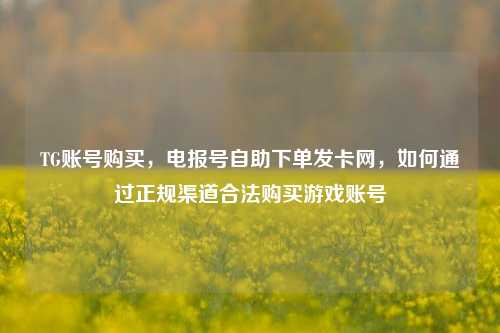 TG账号购买，电报号自助下单发卡网，如何通过正规渠道合法购买游戏账号
