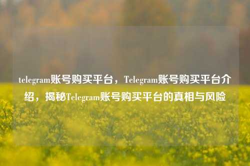telegram账号购买平台，Telegram账号购买平台介绍，揭秘Telegram账号购买平台的真相与风险