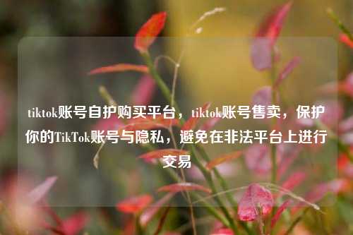 tiktok账号自护购买平台，tiktok账号售卖，保护你的TikTok账号与隐私，避免在非法平台上进行交易