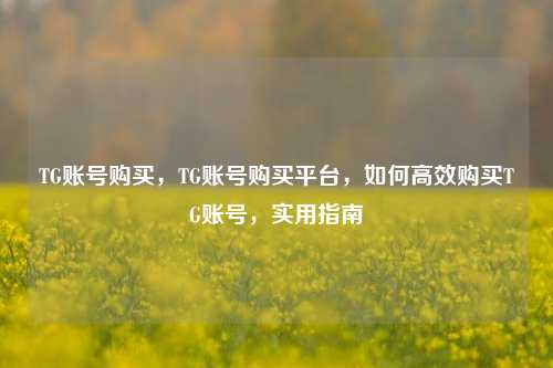TG账号购买，TG账号购买平台，如何高效购买TG账号，实用指南